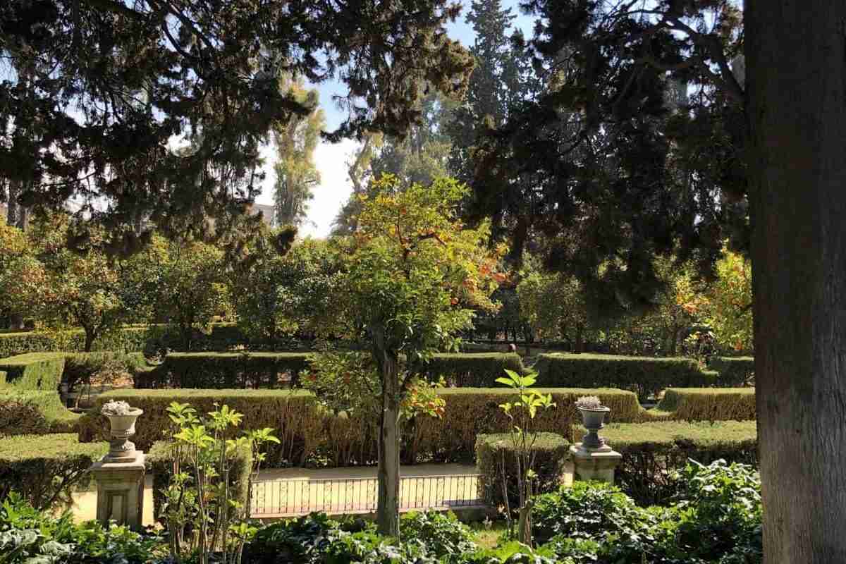 Green trees in María Luisa Park Seville