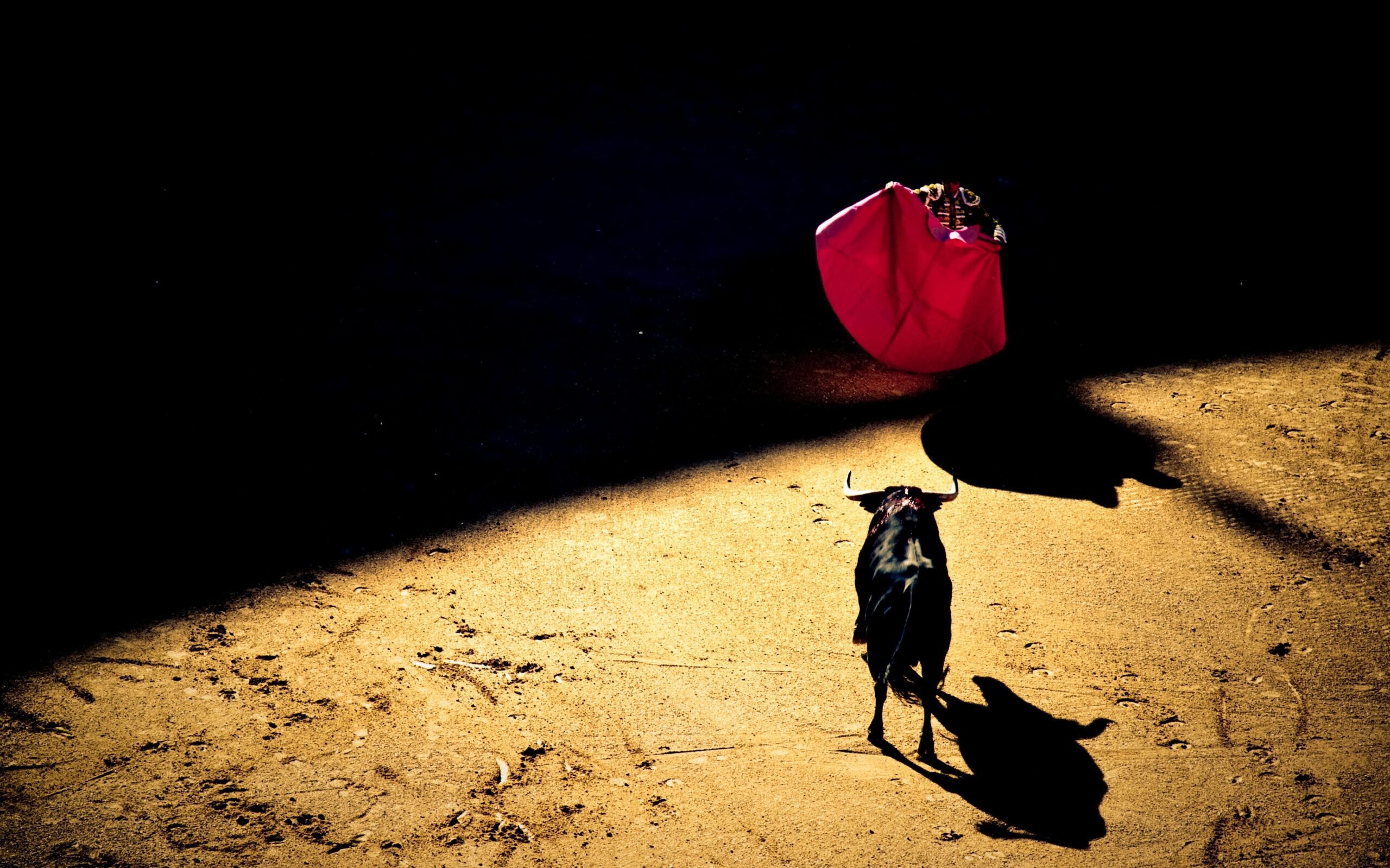 bullfight seville