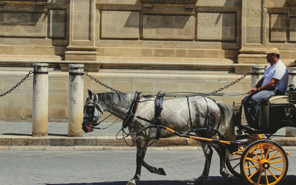 horse and carriage seville