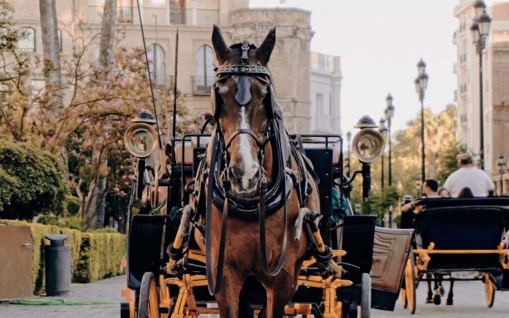 seville horse and carriage