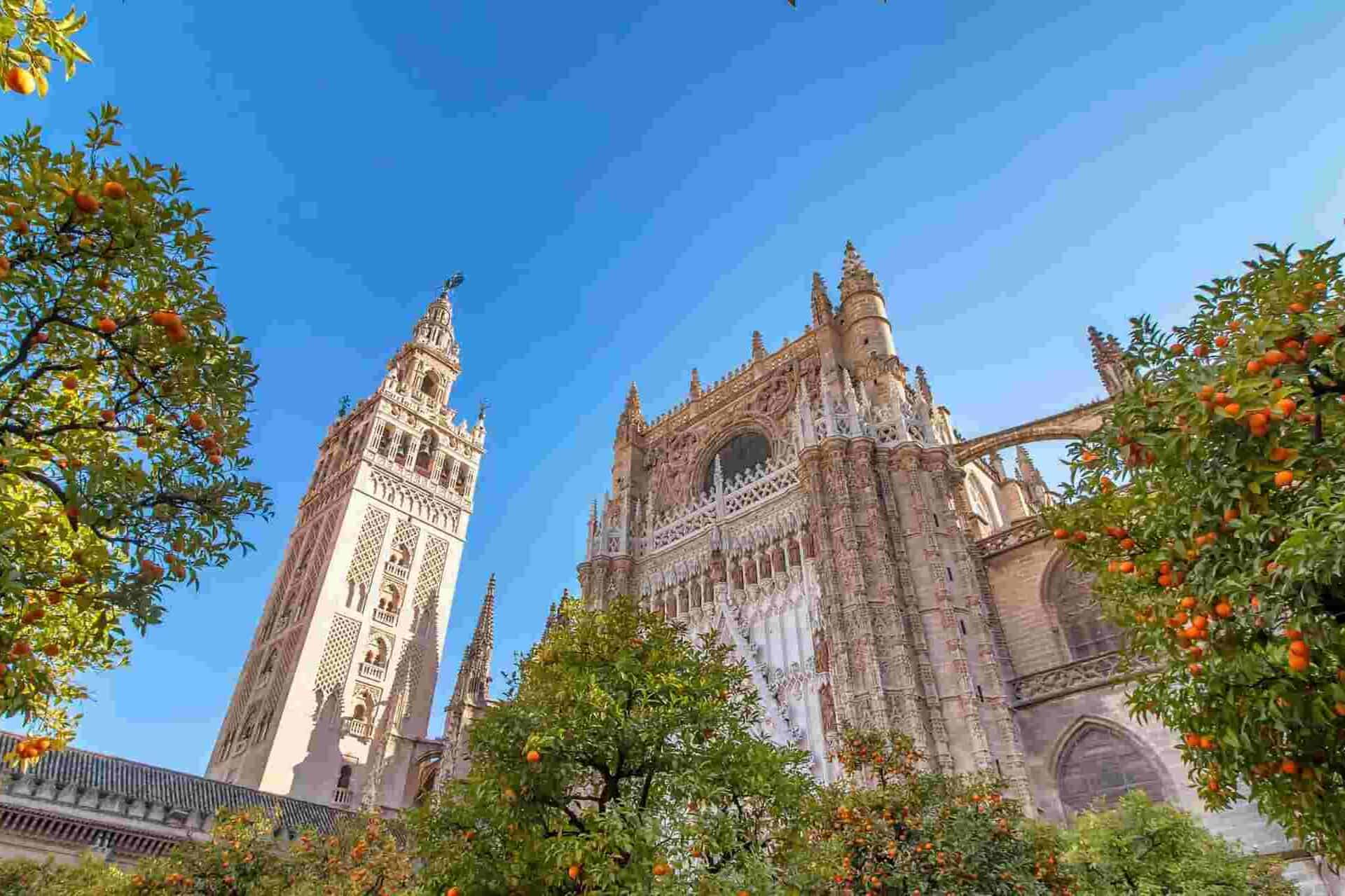 Seville Cathedral and Giralda tower surrounded by orange trees