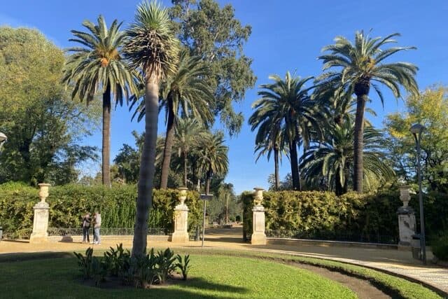 Palm trees and entry to the Jardines de Murillo in Seville